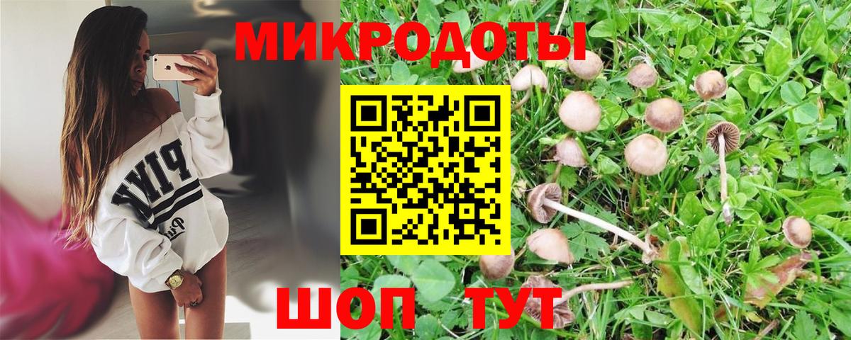 Псилоцибиновые грибы ЛСД Алапаевск